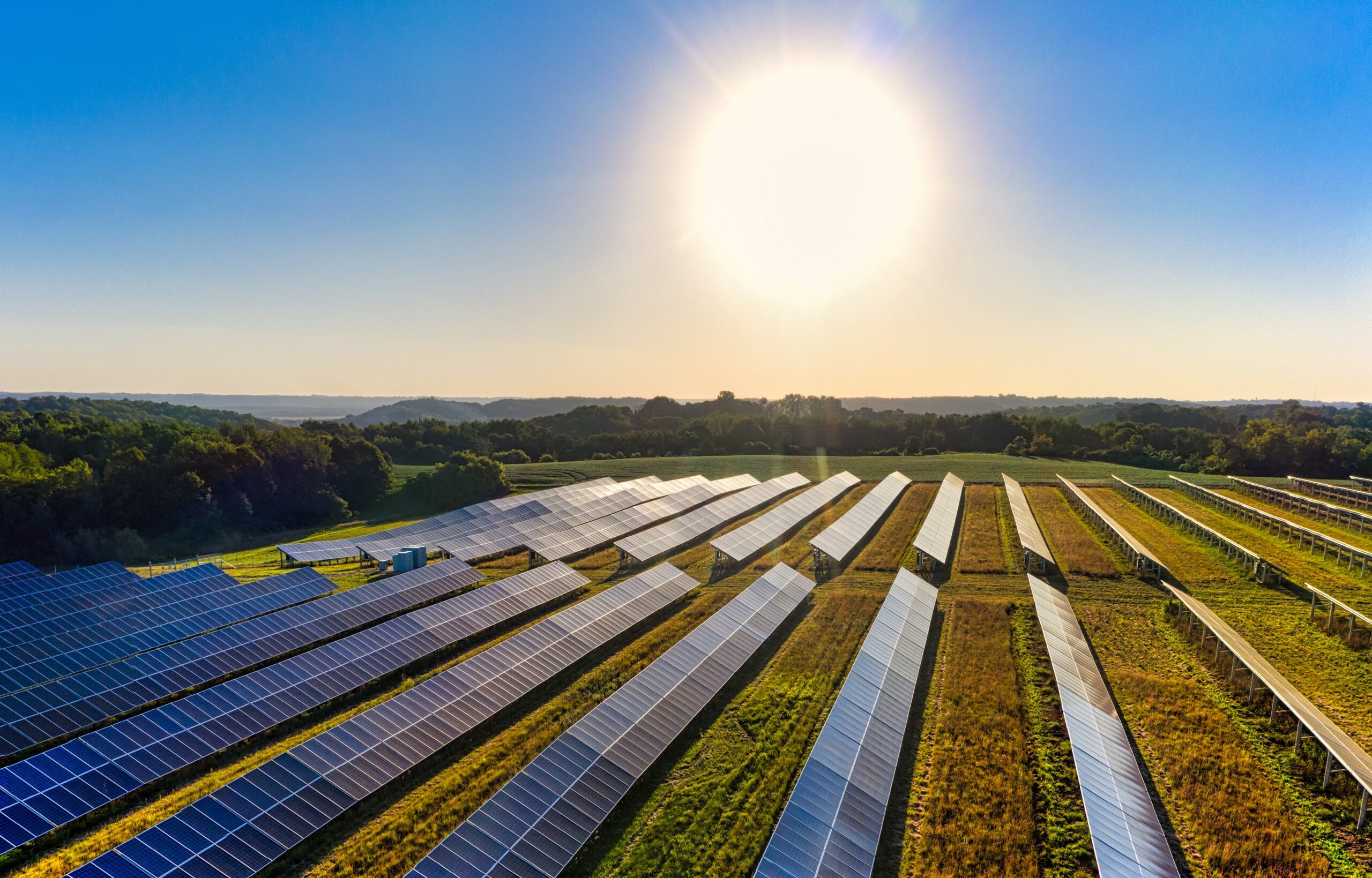 https://www.pexels.com/photo/solar-farm-at-sunny-day-9893729/
